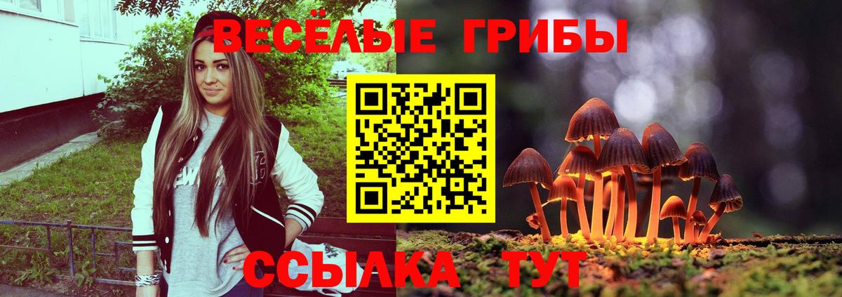 Псилоцибиновые грибы мухоморы Самара